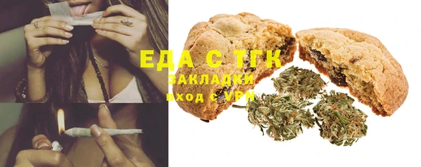 гидра Абаза