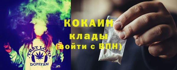 гидра Абаза