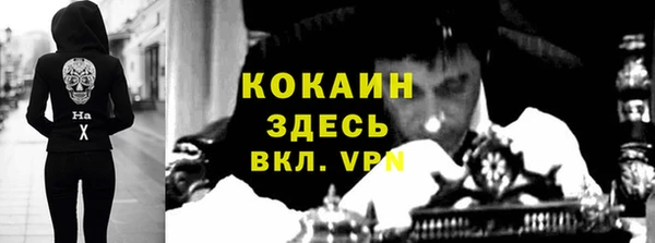 гидра Абаза